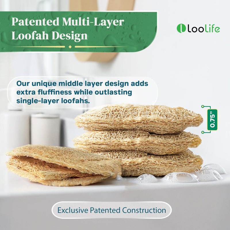 LooLife Natural Loofah Kitchen Sponge (3 Pack) - Natural Sponges for Dishes - Eco Friendly and Compostable Sponges - Biodegradable Plant Based Kitchen Dish Sponge - Plastic Free Dish Scrubber - Image 3